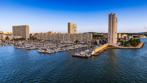 Lutte contre les nuisibles Toulon